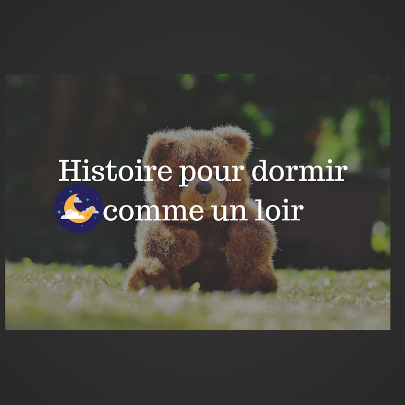 Histoire pour dormir comme un loir