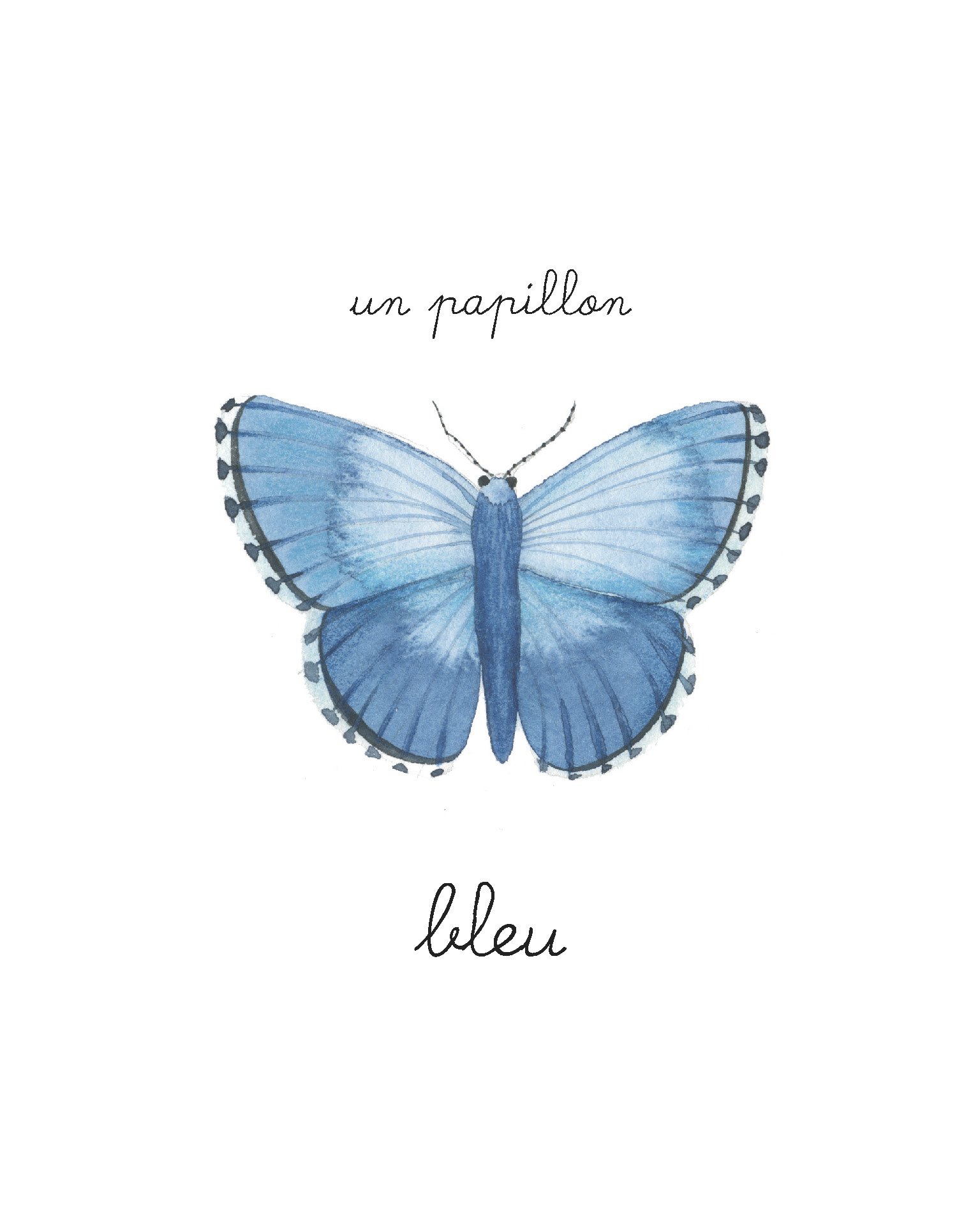 papillon-bebe-balthazar