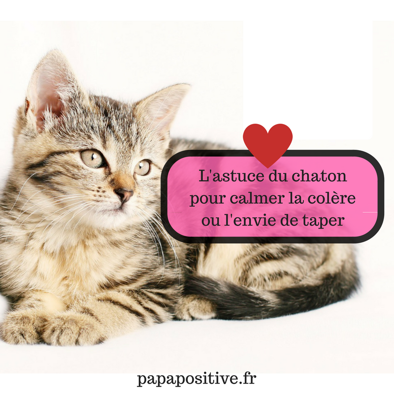 L Astuce Du Chaton Pour Calmer La Colere Ou L Envie De Taper