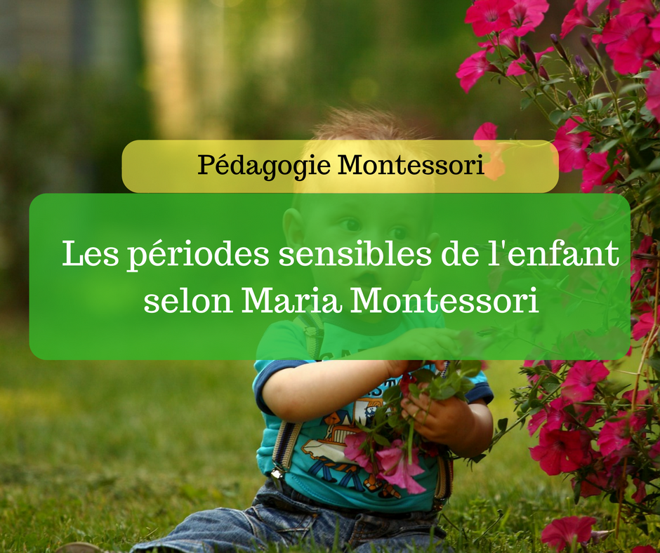 Les Periodes Sensibles De L Enfant Selon Maria Montessori