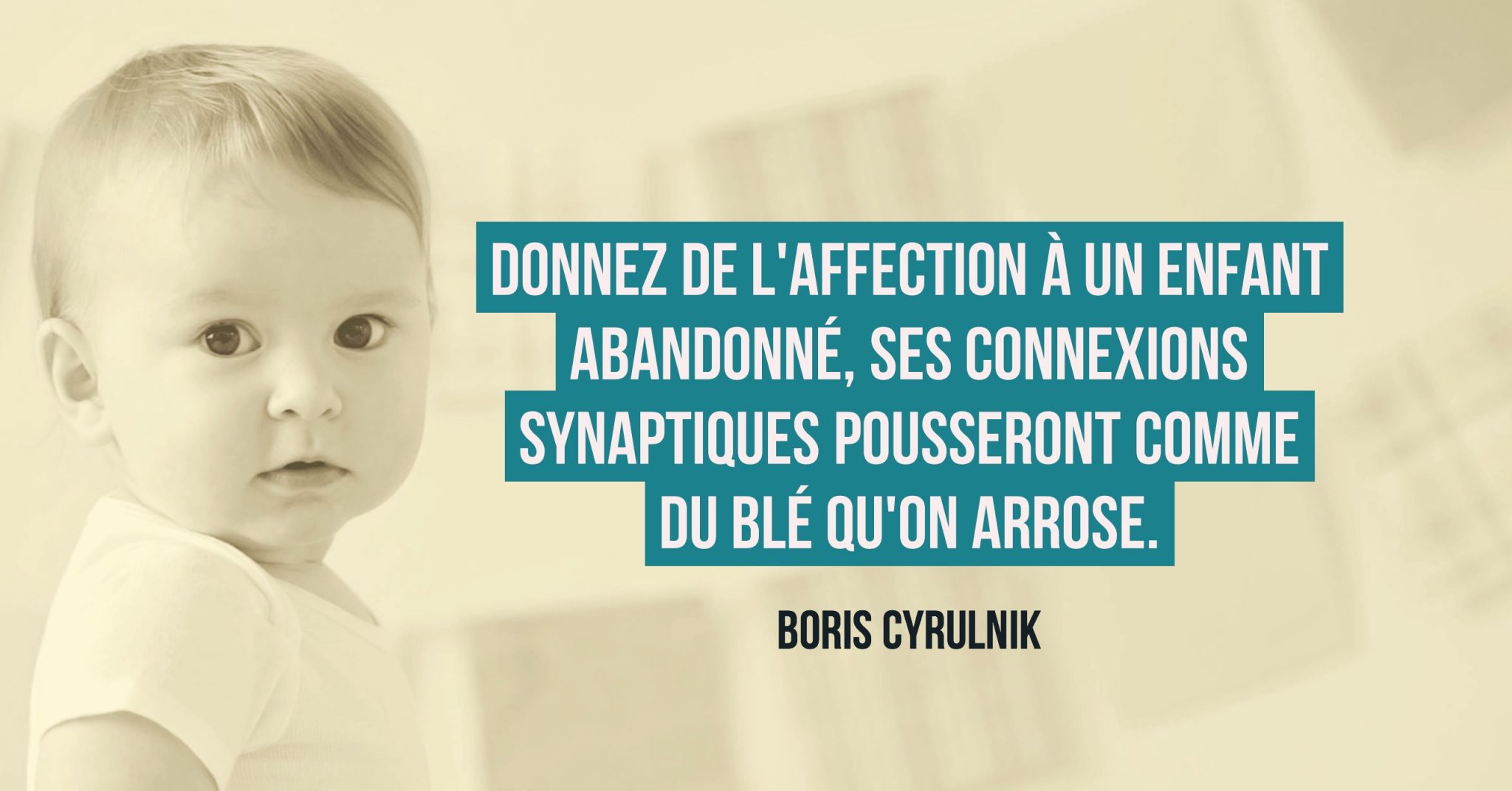 Cerveau Et Memoire Les 4 Periodes Sensibles Dans Nos Vies Par Boris Cyrulnik