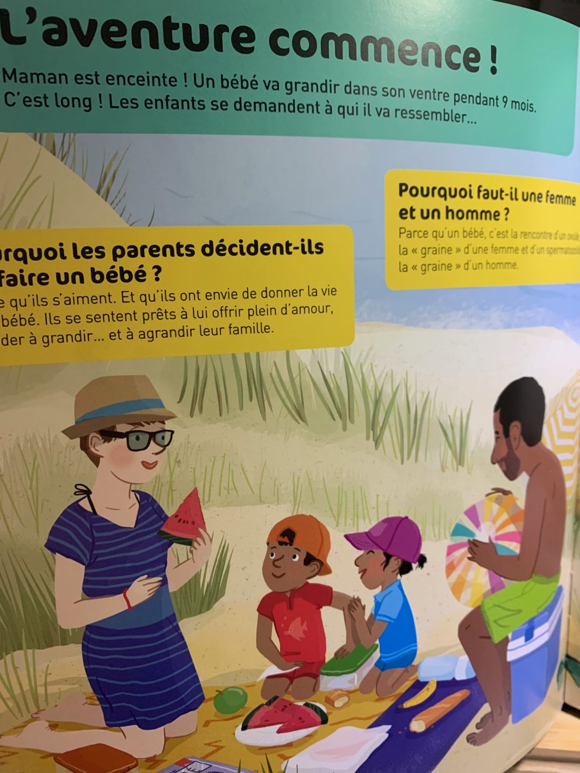 Comment On Fait Les Bébés ? Un Livre Parfait Pour Répondre Aux ...