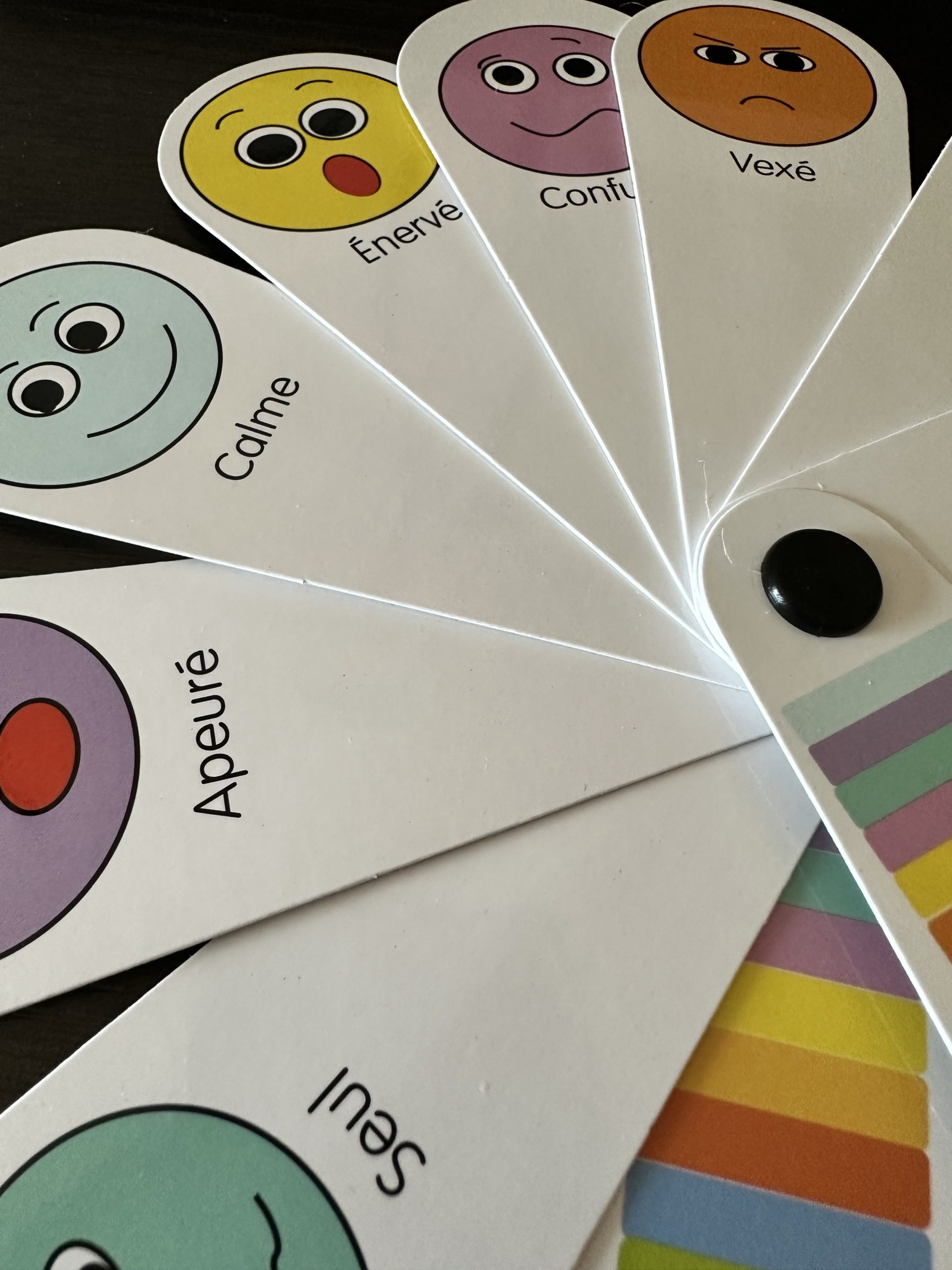 Test outil Éventail des émotions Papa positive